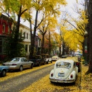 Осень в Вашингтоне