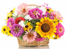 Яркие цветы в корзине
