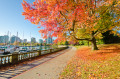 Парк Стэнли в Ванкувере, Канада