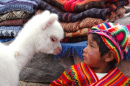 Мальчик и Лама. Арекипа, Перу