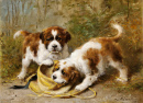 Два щенка сенбернара играют с шляпой
