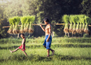 Тайский рисовый фермер с сыном