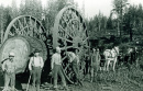 1895 - Профессиональные лесорубы в Калифорнии