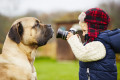 Мальчик фотографирует свою собаку