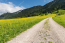 depositphotos_47226437-stock-photo-gravel-path-in-summer-landscape