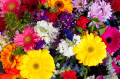 Букет ярких цветов