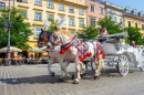 Карета с лошадьми в Кракове, Польша