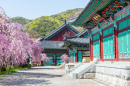 Дворец Кёнбоккун, Корея