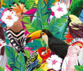 Тропические птицы