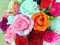 Розы