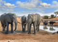 Национальный парк Хуэндж, Зимбабве, Южная Африка