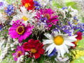 Букет цветов