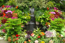 Тропический сад с красочными цветами