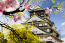 Замок Осака, Япония