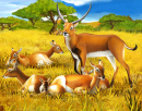 Антилопы в Кении