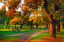 Осенние краски в парке