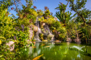 Карповый пруд в японском саду