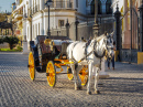 Конная карета в Севилье, Испания