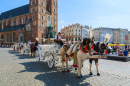 Кареты с лошадьми в Кракове, Польша