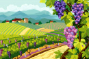 Виноградник и виноградные гроздья
