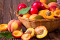 Персики, сливы и абрикосы