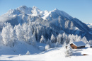 Зимняя сказка, австрийские Альпы