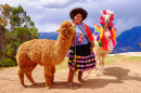 Перуанка и ее альпака