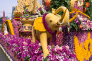 Цветочный фестиваль в Чиангмай, Таиланд