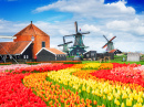 Голландская сельская сцена с ветряными мельницами