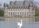 Лебединое озеро, Замок Белёй, Бельгия