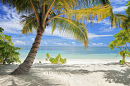 Пальмы и песчаный пляж, Мальдивы