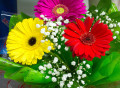 Букет цветов