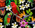 Экзотические птицы и тропические цветы