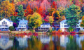 fall foliage