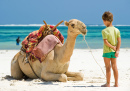 Малыш и верблюд на пляже