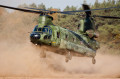 Боинг CH-47 «Чинук», Королевские BBC Нидерландов