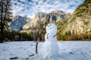 Снеговик в Йосемитской долине