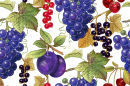Виноград, сливы, вишня и ягоды