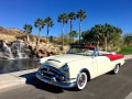 54 PACKARD LAKE LAS VEGAS sml