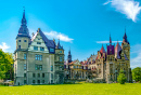 Мошненский замок, Польша