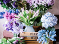 Свежие цветы