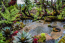 a-landscape-garden-forest-style