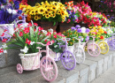 Цветы в горшках-велосипедах