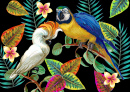 Тропические птицы