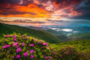 asheville-north-carolina-blue-ridge-parkway-scenic-sunset-dave-allen