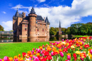 Замок да Хаар и цветущие тюльпаны, Голландия