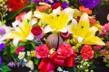 Красочные цветы
