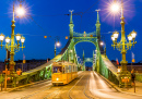 Мост Свободы в Будапеште, Венгрия