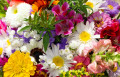 Букет летних цветов