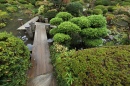 Сад в традиционном японском стиле